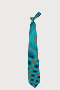 F. Marino Turquoise Silk Ties