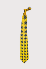 Load image into Gallery viewer, F. Marino Yellow Silk Ties
