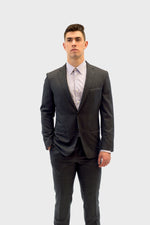 Load image into Gallery viewer, Vitale Barberis Canonico Grey Suit

